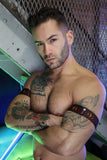 Breedwell Afterhours Armbands
