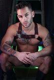 Breedwell Afterhours Bulldog Harness
