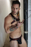 Breedwell Afterhours Bulldog Harness
