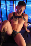 Breedwell Afterhours Bulldog Harness