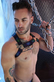 Breedwell Afterhours Bulldog Harness