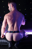 Breedwell Afterhours Jock