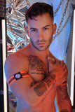 Breedwell Circuit Breaker Armbands