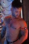 Breedwell Circuit Breaker Armbands