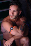 Breedwell Circuit Breaker Armbands
