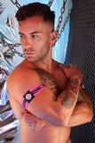 Breedwell Circuit Breaker Armbands