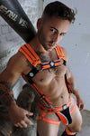 Breedwell Circuit Breaker Body Harness