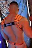 Breedwell Circuit Breaker Body Harness