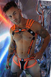 Breedwell Circuit Breaker Body Harness
