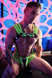 Breedwell Circuit Breaker Body Harness