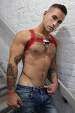 Breedwell Cumdump Bulldog Harness