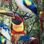 Addicted Exotic Birds Swim Shorts (ADS355)
