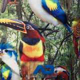 Addicted Exotic Birds Swim Shorts (ADS355)