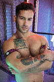 Breedwell Gagged Armbands