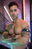 Breedwell Gagged Armbands