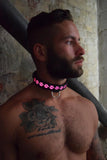 Breedwell Glow Pup Collar