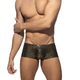 Addicted Gold Stones Trunk (ADF21)