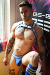 Breedwell Groove Bulldog Harness