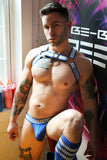 Breedwell Groove Bulldog Harness