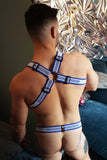 Breedwell Groove Bulldog Harness