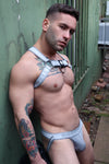 Breedwell Groove Bulldog Harness