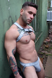 Breedwell Groove Bulldog Harness