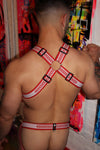 Breedwell Groove Bulldog Harness