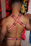 Breedwell Groove Bulldog Harness