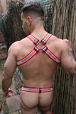 Breedwell Groove Bulldog Harness