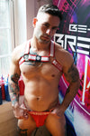 Breedwell Groove Bulldog Harness