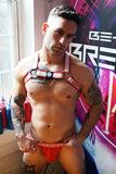 Breedwell Groove Bulldog Harness