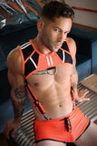 Breedwell Heatwave Body Harness