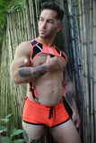 Breedwell Heatwave Body Harness