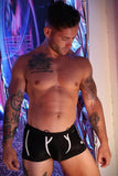 Breedwell Heatwave Trunk