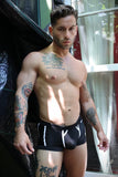 Breedwell Heatwave Trunk