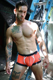 Breedwell Heatwave Trunk