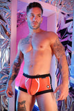 Breedwell Heatwave Trunk