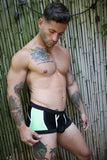 Breedwell Heatwave Trunk