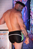 Breedwell Heatwave Trunk