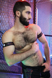 Breedwell Icon Pride Armbands