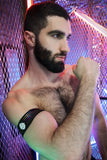 Breedwell Icon Pride Armbands