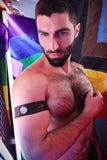 Breedwell Icon Pride Armbands