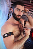 Breedwell Icon Pride Armbands