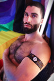Breedwell Icon Pride Armbands