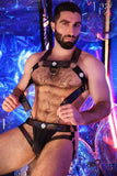 Breedwell Icon Pride Body Harness