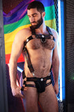 Breedwell Icon Pride Body Harness
