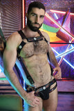 Breedwell Icon Pride Body Harness