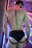 Breedwell Icon Pride Brief