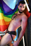 Breedwell Icon Pride Brief