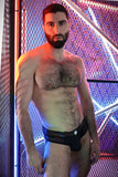 Breedwell Icon Pride Brief